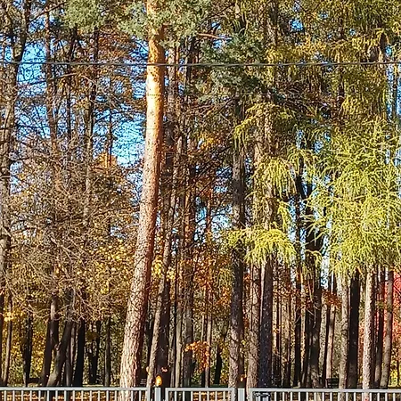 Parkowa 8 Apartamento Myślenice